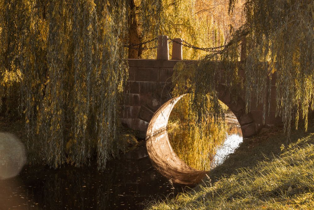 Photograph by Дарья Кончакова