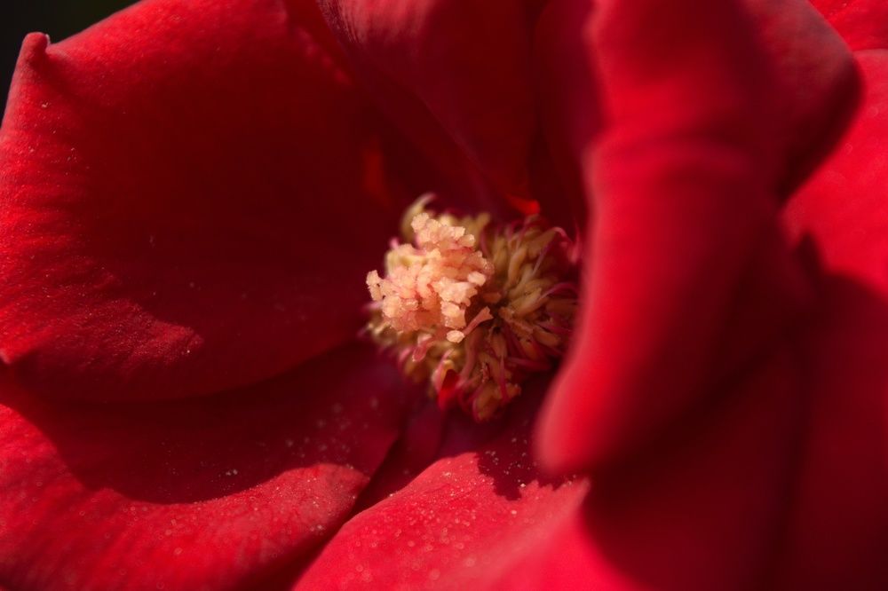 Фотография автора Sheuli Akther