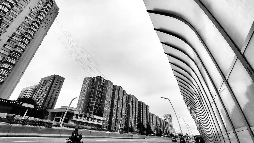 Photograph by Selina Marina