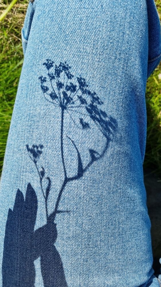 Фотография автора Елена Кабенкина