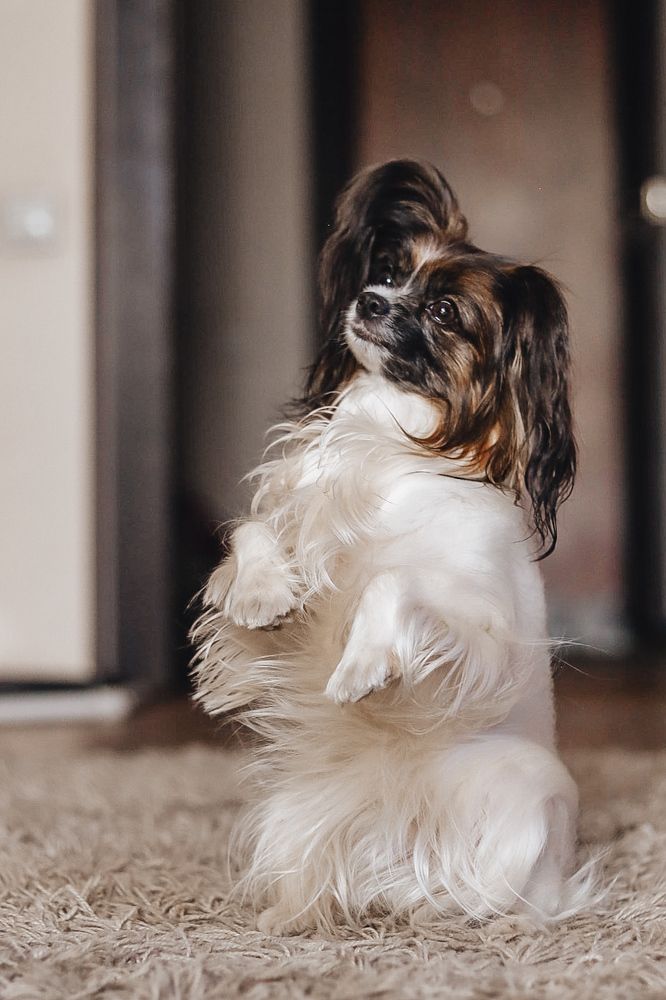 Photograph by Nadezhda Potapova