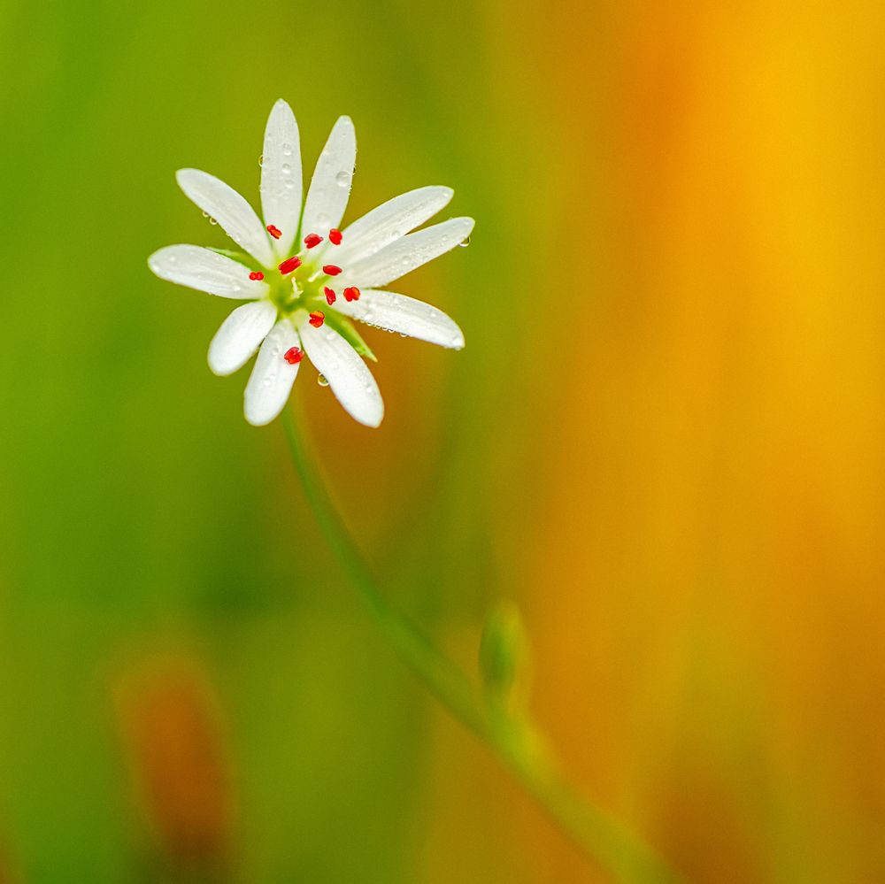 Photograph by Андрей Иванов