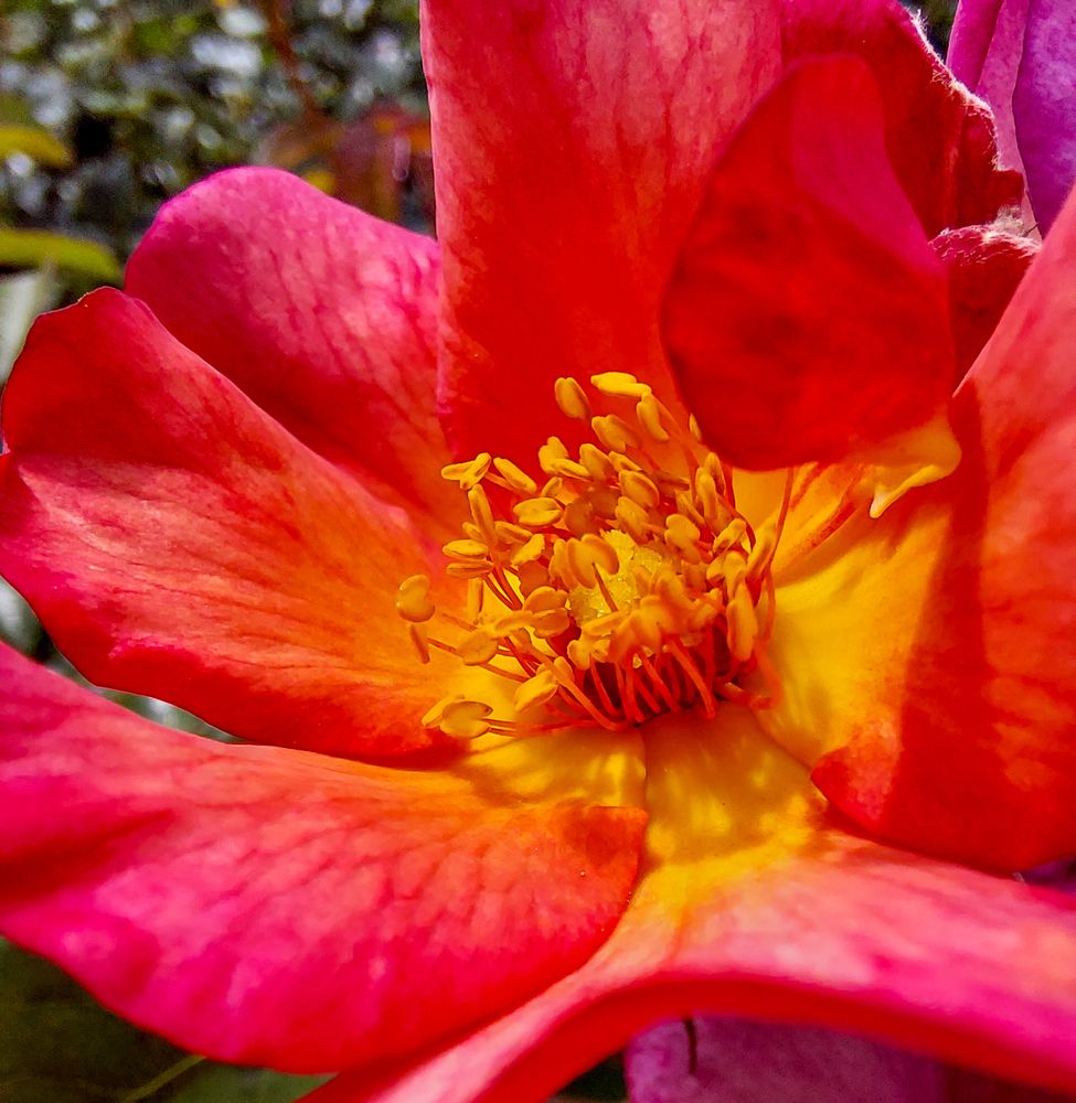 Фотография автора Светлана Дунаева