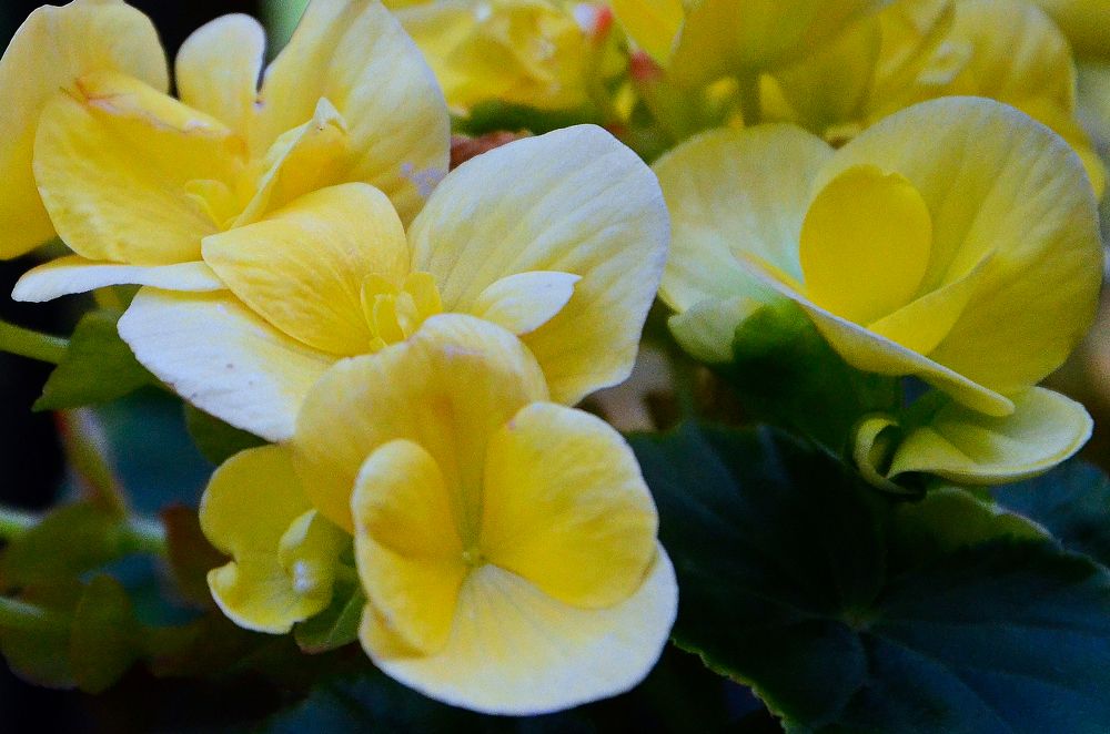 Photograph by Ken Oliver