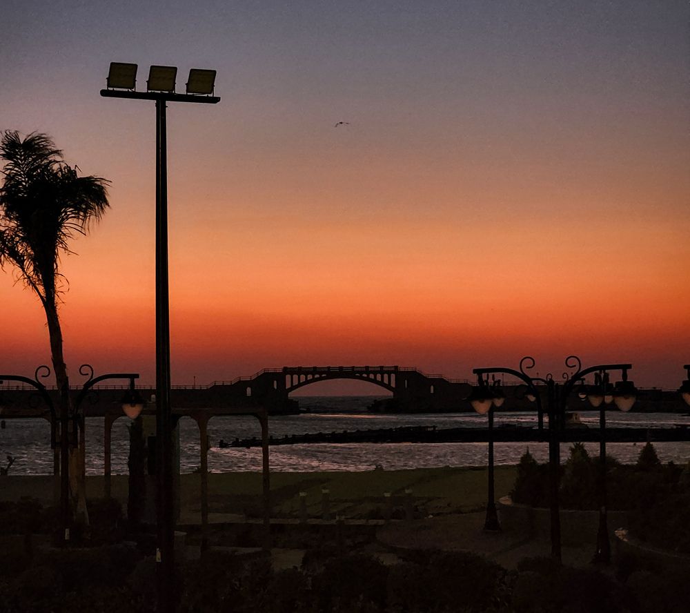 Photograph by Ahmed Ehab Akl