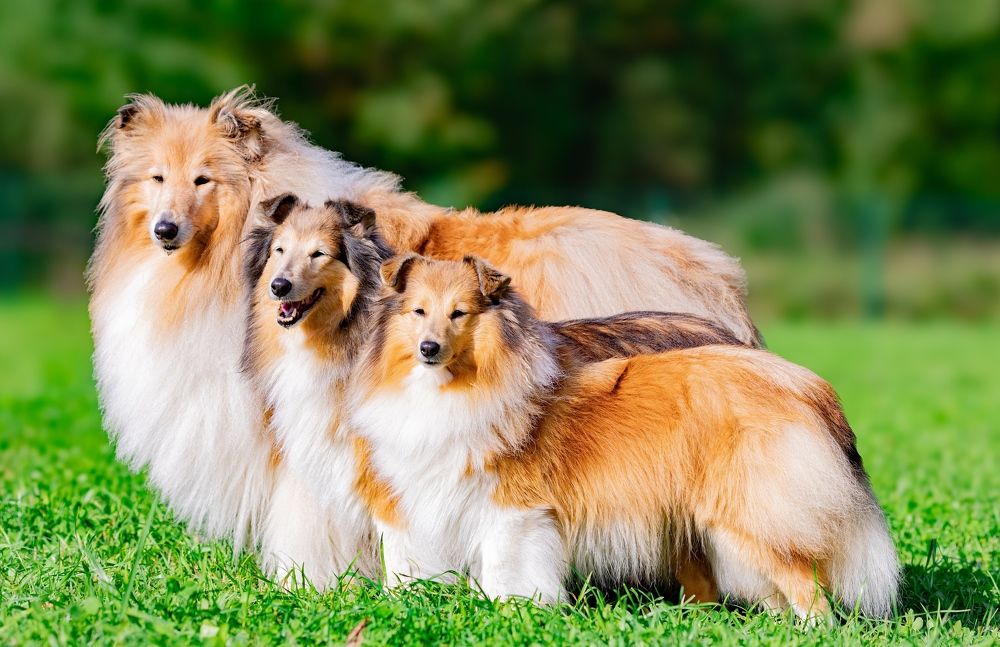 Photograph by Дарья