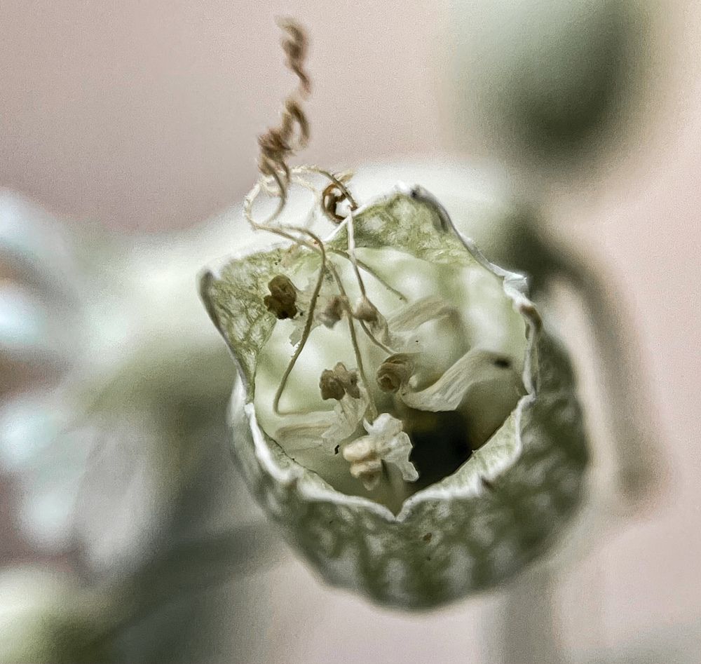 Photograph by ЛИЛИЯ БОБКО