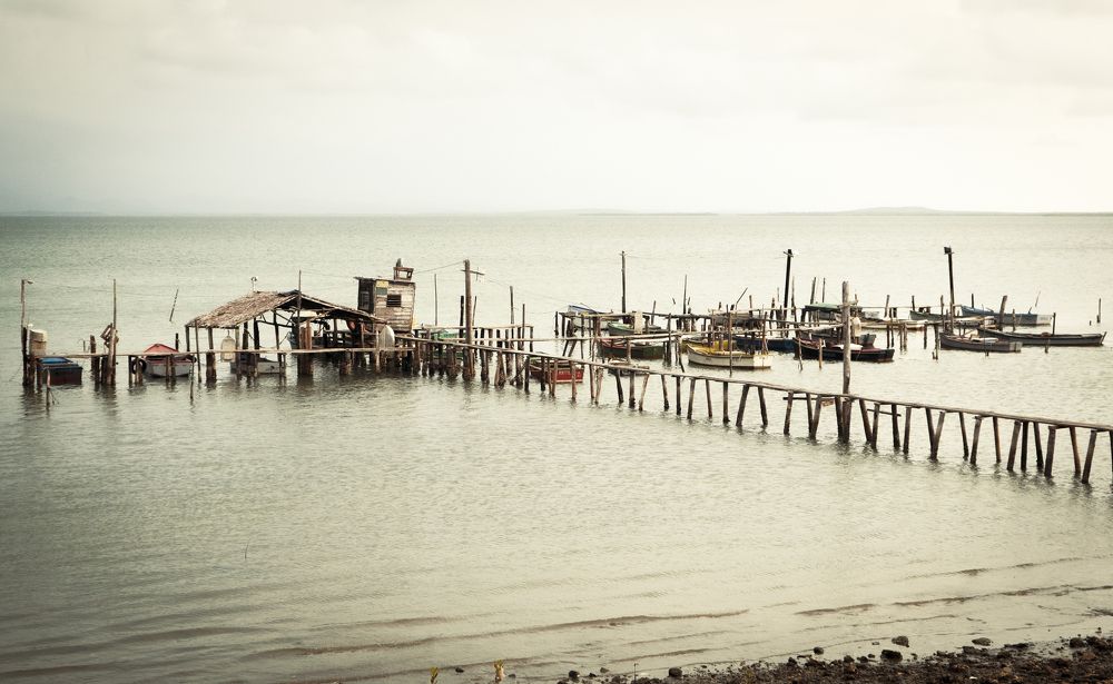 Photograph by Rafael Luis