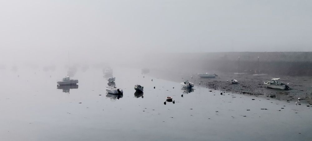 Mattino Pallido