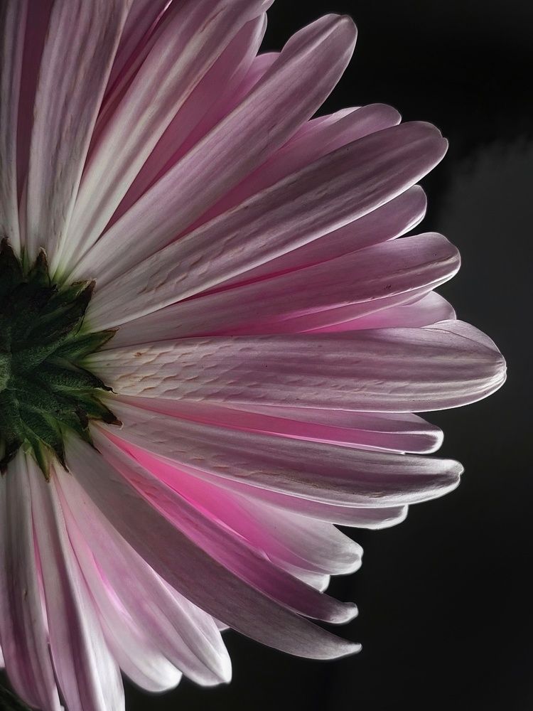 Photograph by Юлия Шмакотина