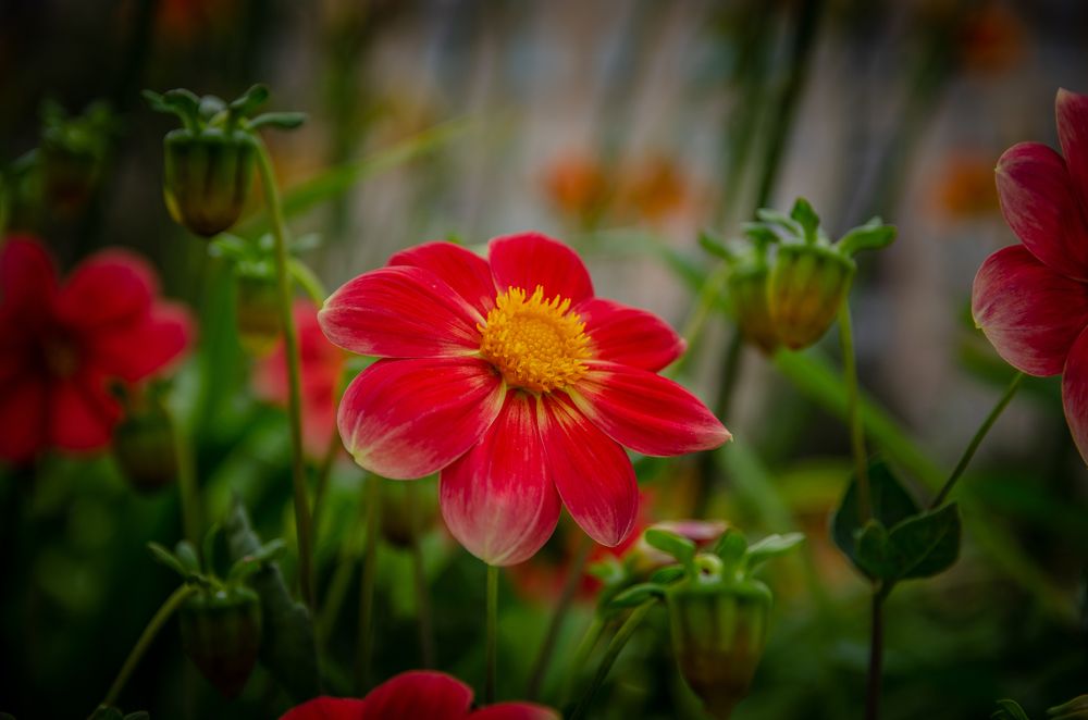 Photograph by Бочериков Александр