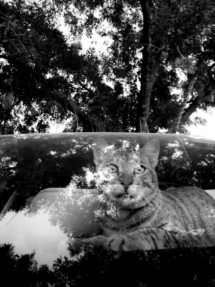 Фотография автора Abhitha