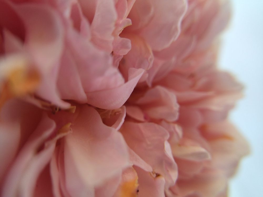 Photograph by Анна Степанова