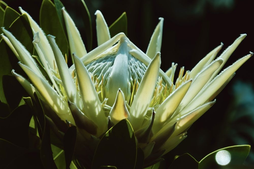 Photograph by Анастасия