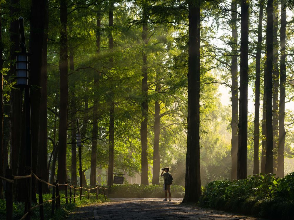 Photograph by Ni Bruce