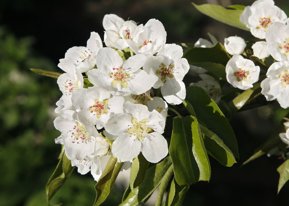 Photograph by Борис Соколов