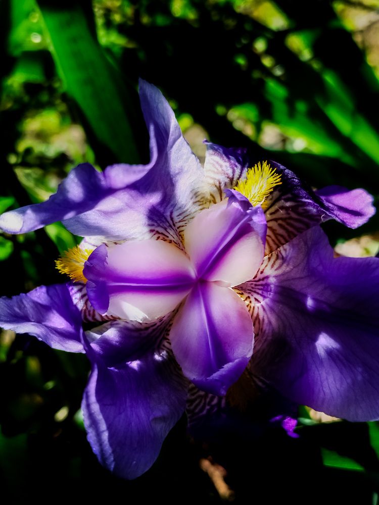 Фотография автора JELENA VASIC