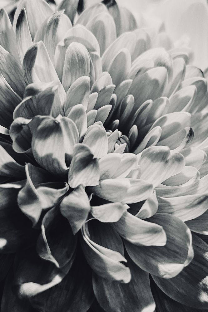 Photograph by Анастасия