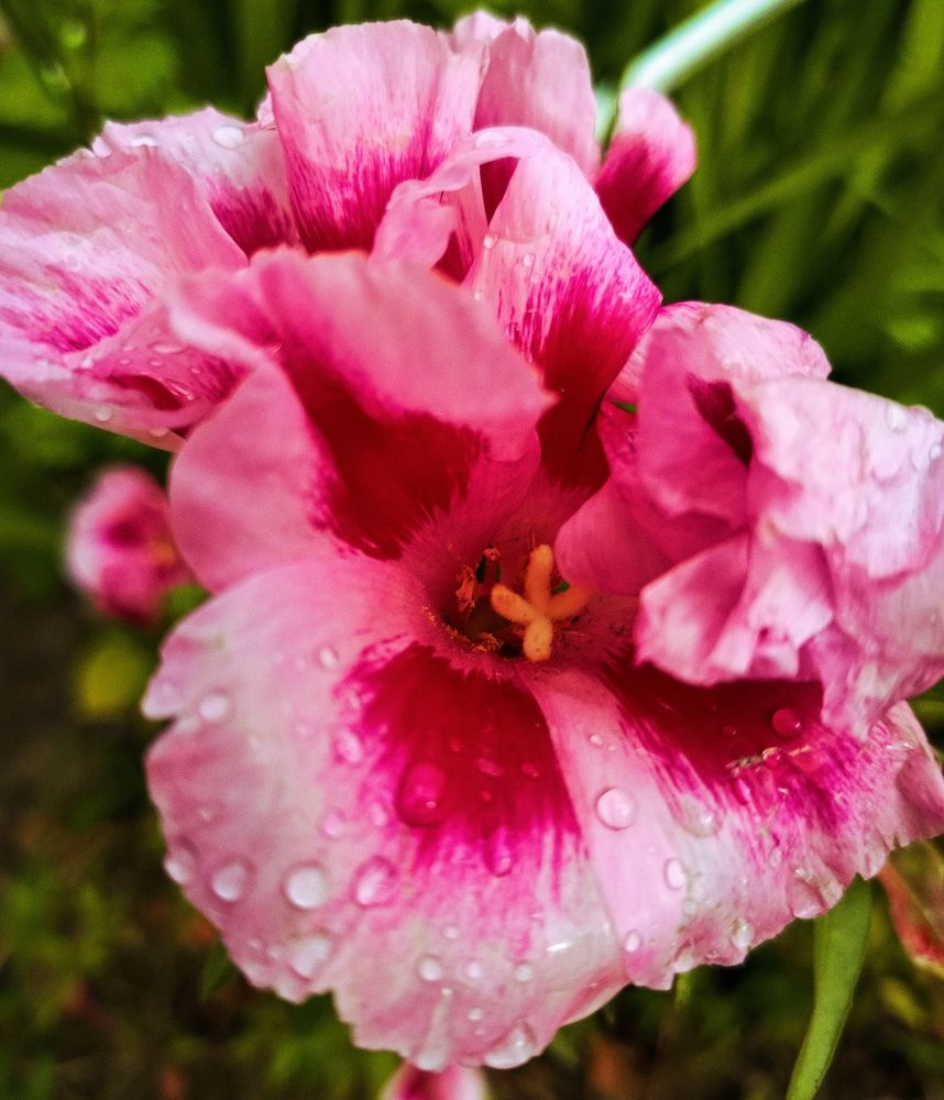 Photograph by Татьяна Бешенкина