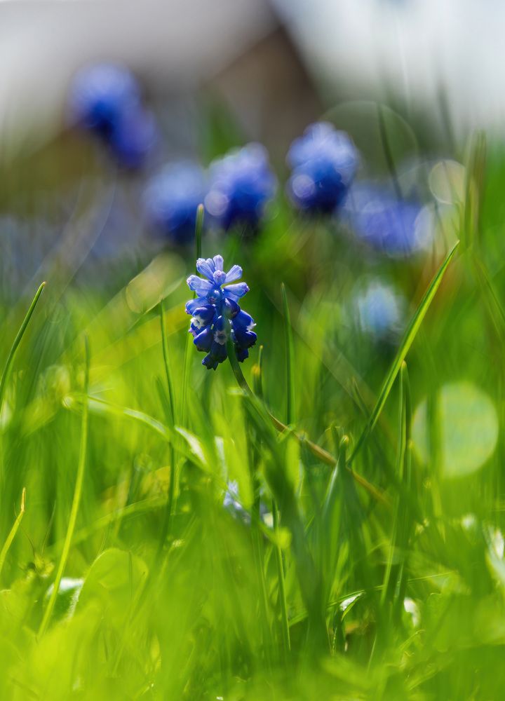 Photograph by Алексей Чеботарев