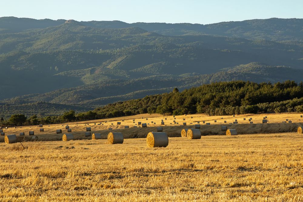 Photograph by korhan ertaş