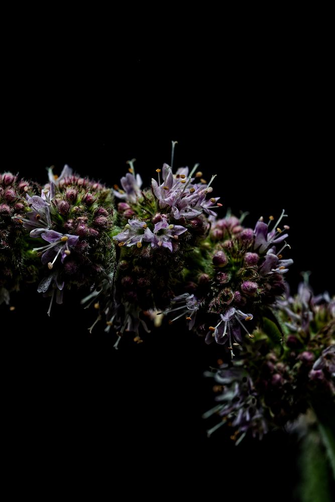 Photograph by Aleksei Degtjarjov