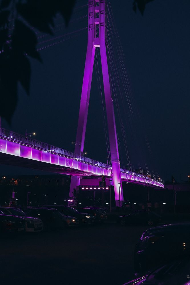 Фотография автора Дарина Чечулина