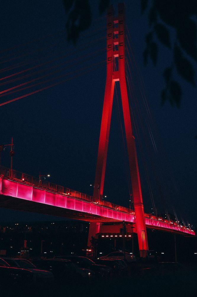 Фотография автора Дарина Чечулина