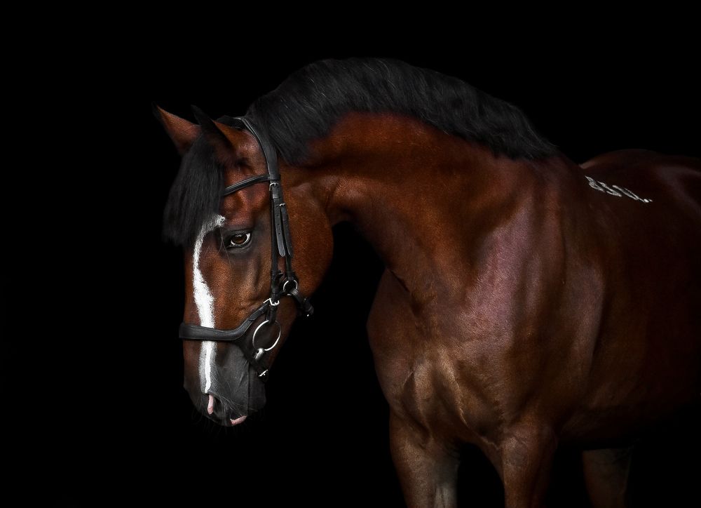 Photograph by Кристина Горковская