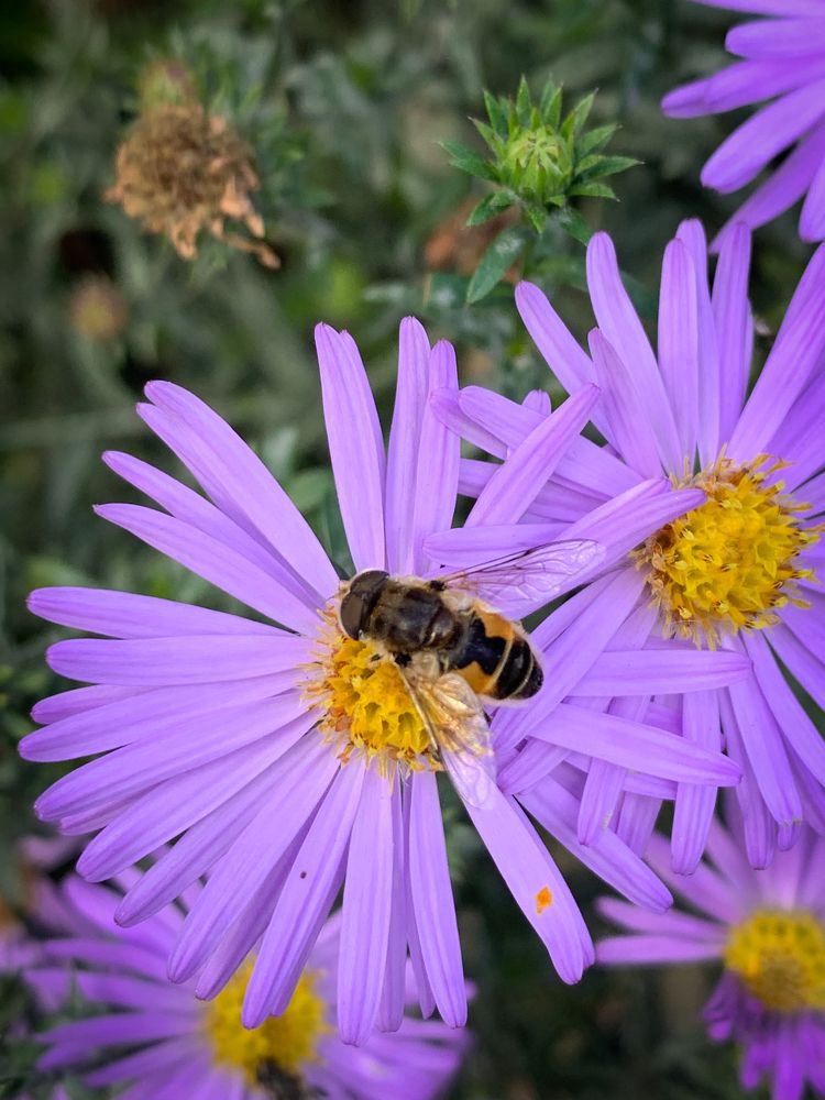 Photograph by Анна Потапова