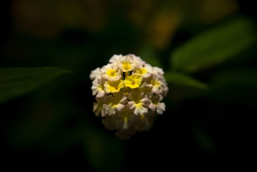 Photograph by Никита