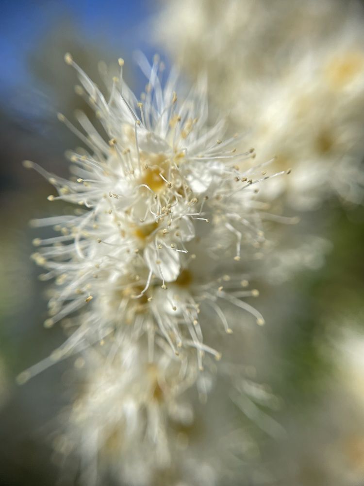 Photograph by Валентина Ивашова