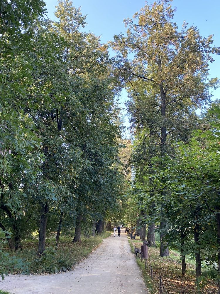 Photograph by NATALJA ROGALOVA