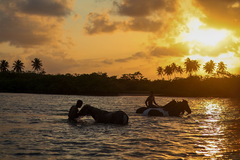 Photograph by edmeia arantes costa cardoso