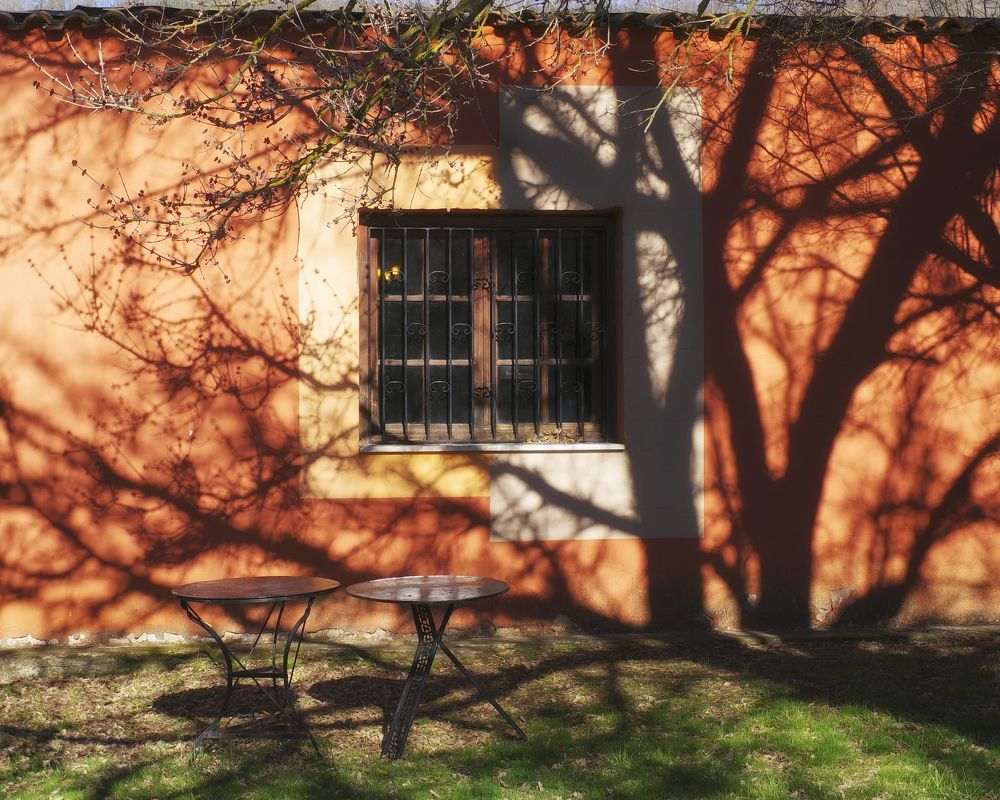 Photograph by Yulia Niki