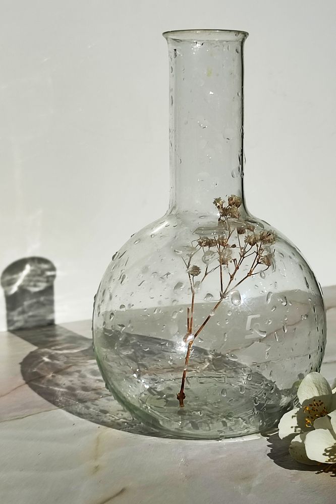 Photograph by Лолита Богачева