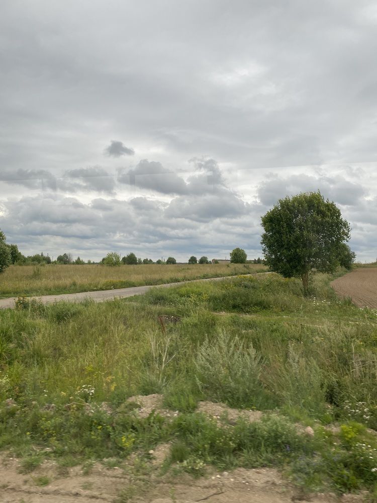 Photograph by NATALJA ROGALOVA