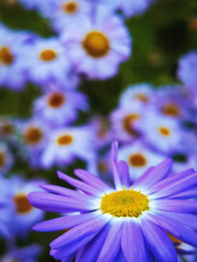 Photograph by Татьяна Бешенкина