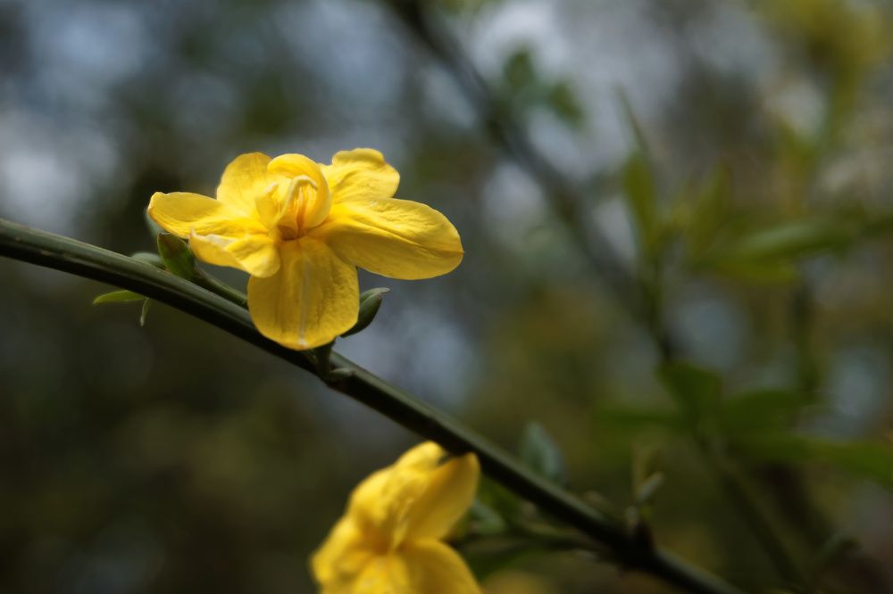 Photograph by Юрий Можейко