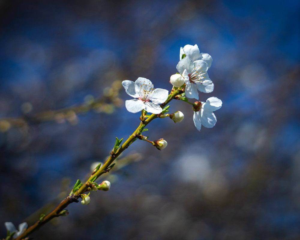 Photograph by Юрий Можейко
