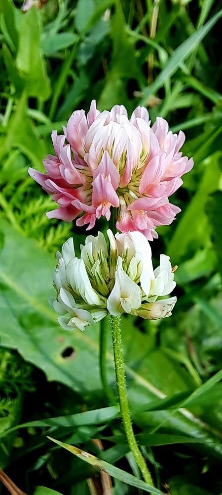 Photograph by Александра Насырова