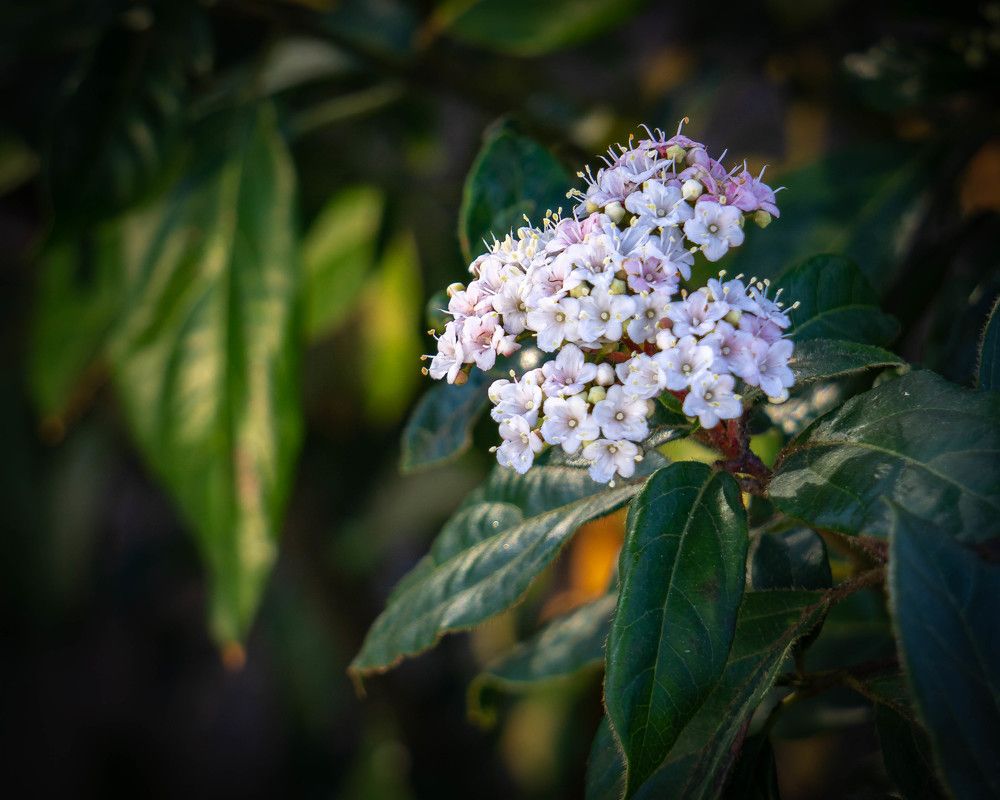 Photograph by Юрий Можейко