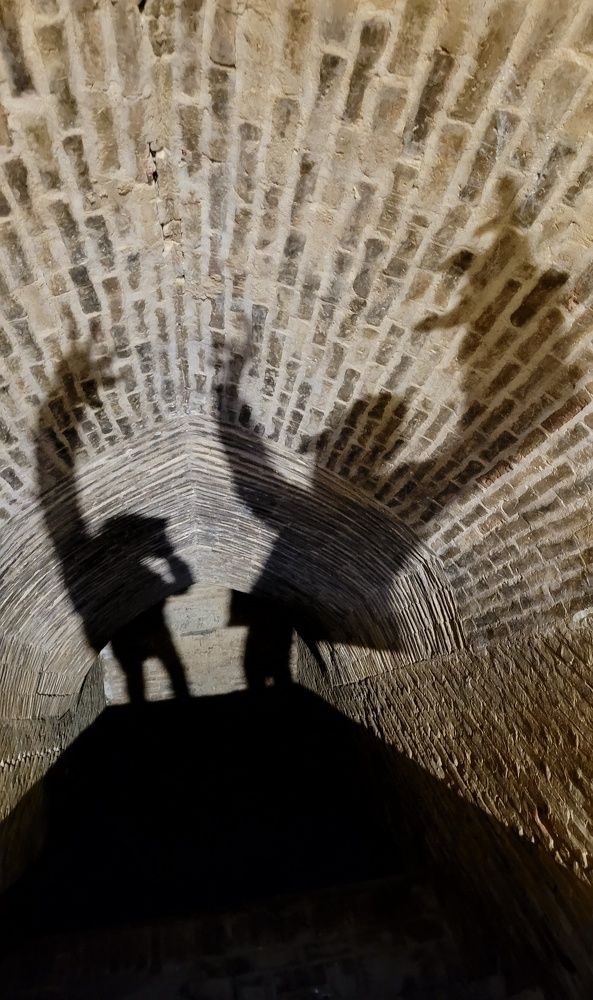 Фотография автора Светлана Зимина