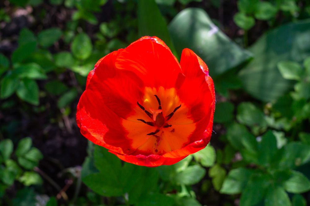 Photograph by Роман Шаров