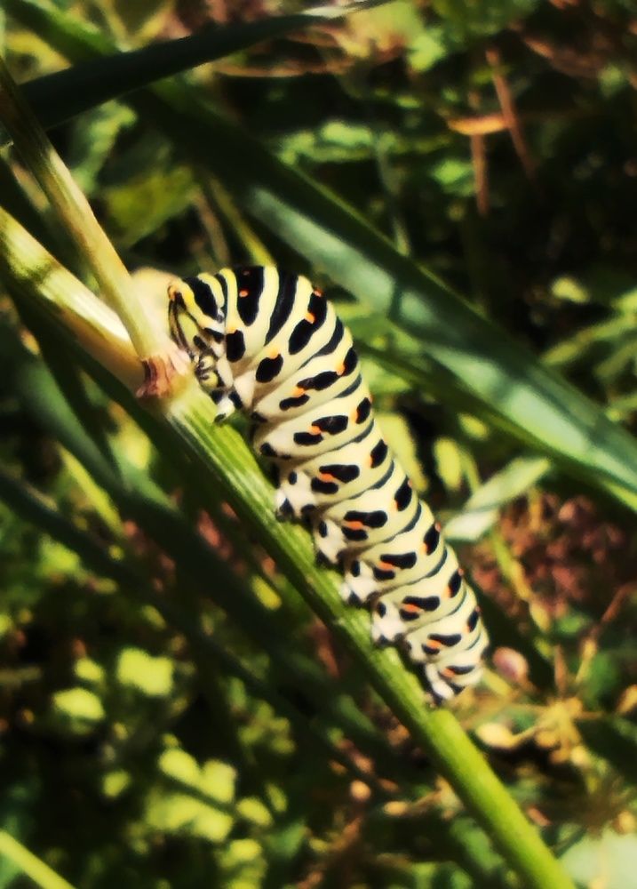 Photograph by Олеся Козлова
