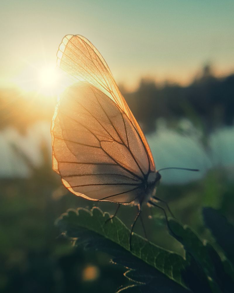 Photograph by Дмитрий Гребнев