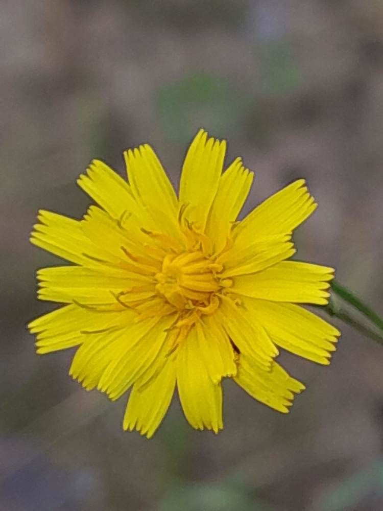 Photograph by Виталий