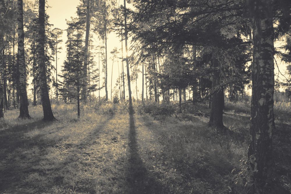 Photograph by Anton Hantov