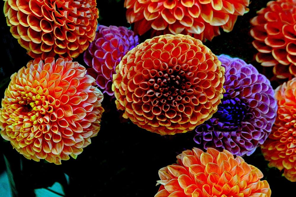 Photograph by Вадим Гераскин