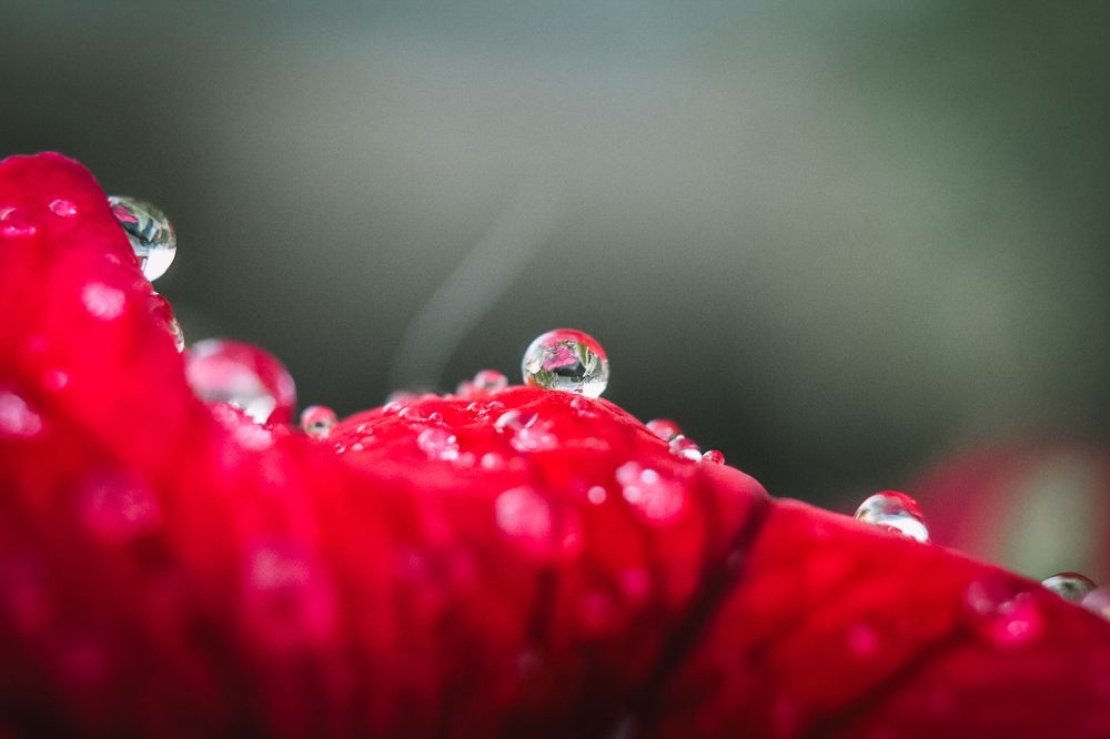 Photograph by Елена Казарина